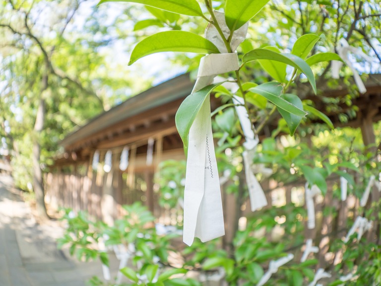 船橋大神宮２