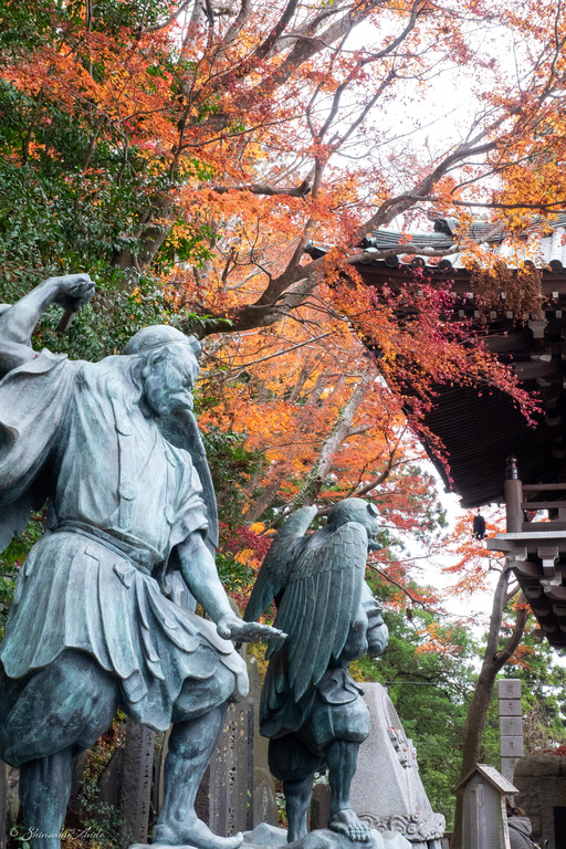 高尾山の紅葉_6