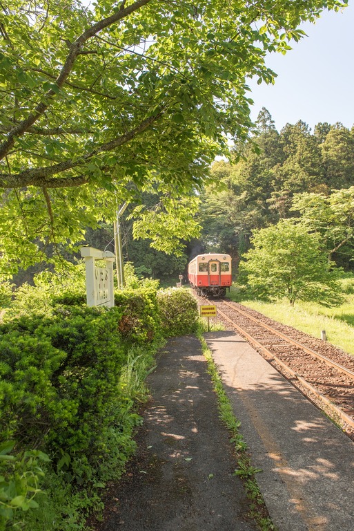 小湊鉄道2016年5月5日-8（飯給駅）