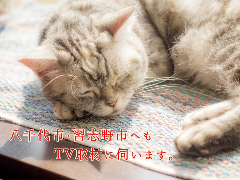 取材エリア拡大のお知らせ