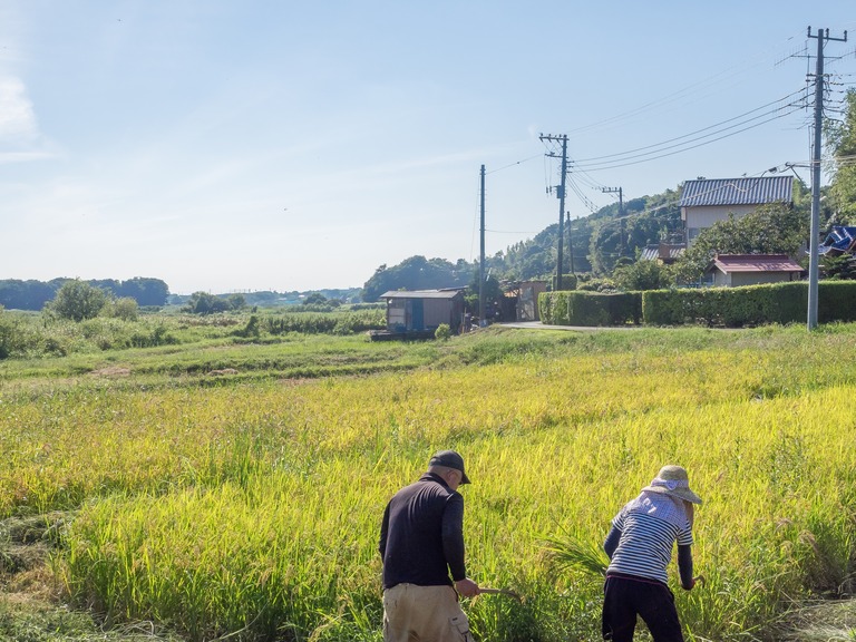 山田農場の一年：９月｜稲刈り‐5
