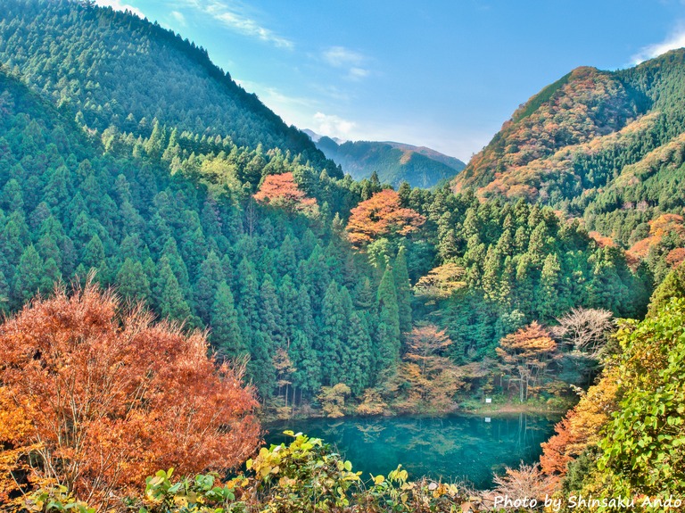 奥多摩の紅葉2015｜白丸湖(name)