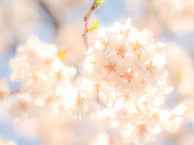 sample-2