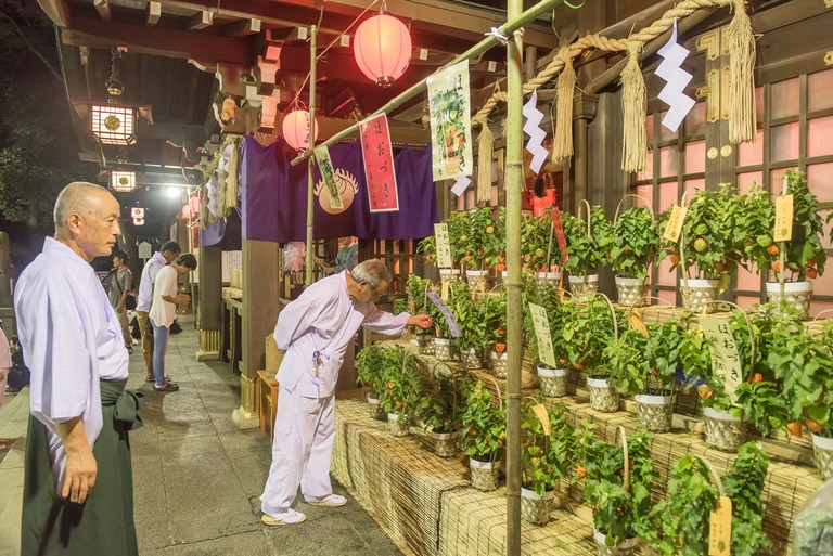 検見川神社の夏祭り＆ほおずき市20160803-6