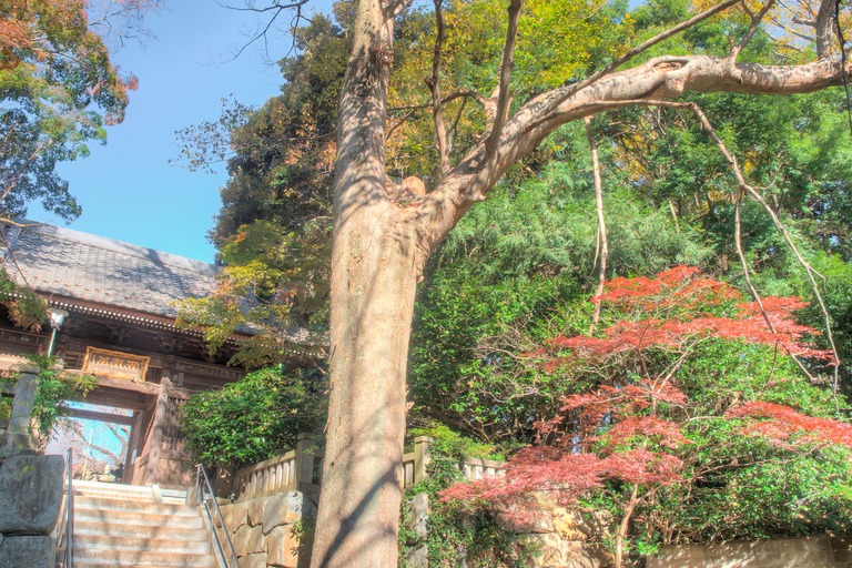御滝不動尊の紅葉-３
