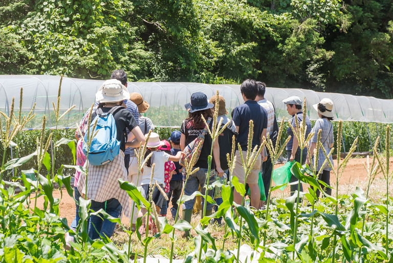 山田農場｜餃子-9