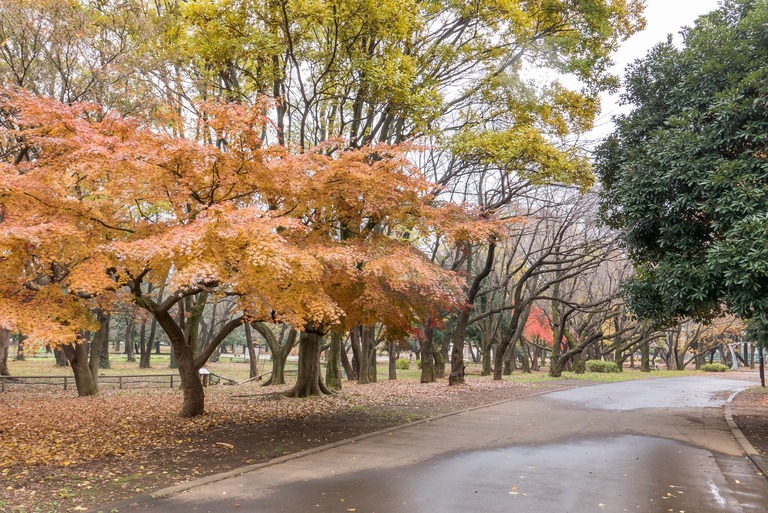 公園-3