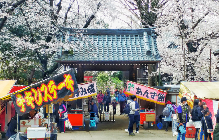 御滝不動尊の桜2019