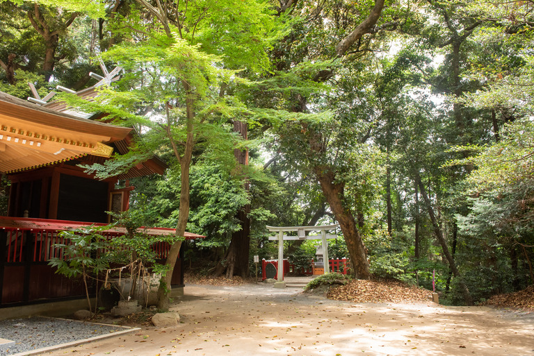 成田_麻賀多神社_20190518_3