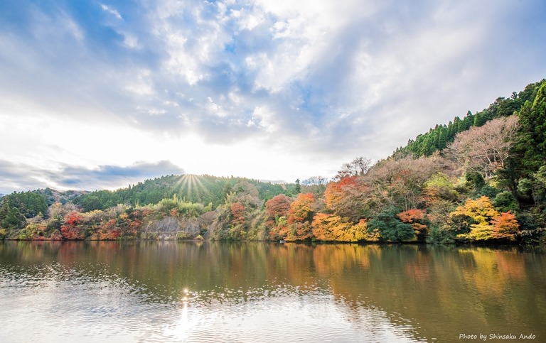 君津市亀山湖の紅葉クルーズ20161211-13