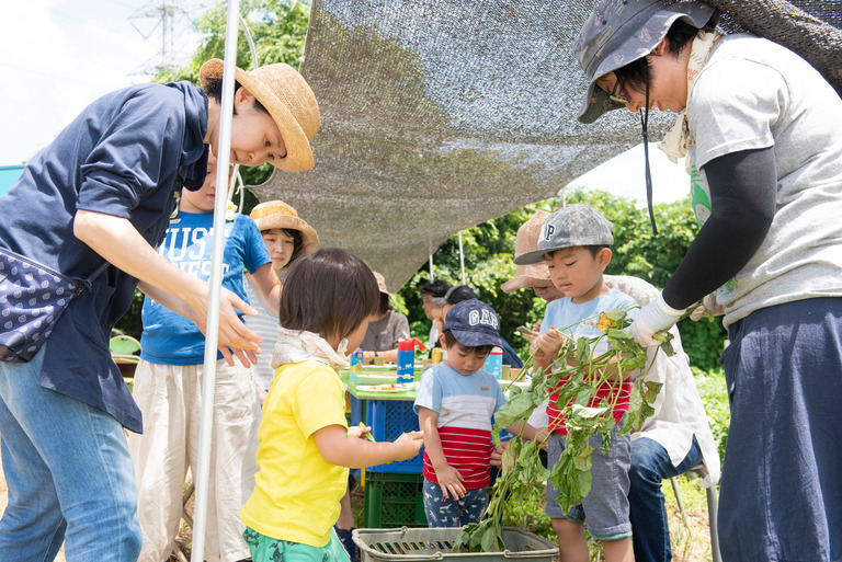 山田農場_夏野菜の会2018_16