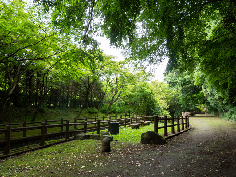 大町公園自然観察園_せせらぎの里付近_2