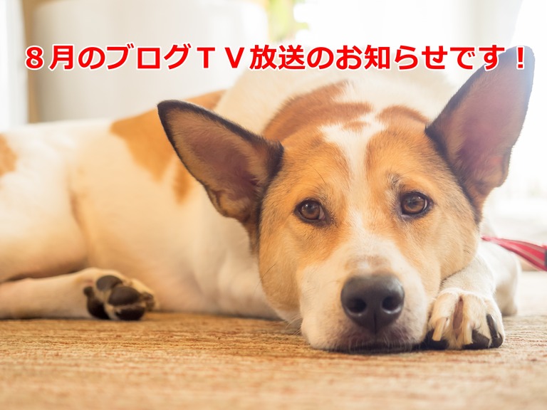 タイトル