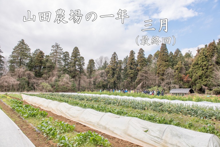 山田農場の一年・３月‐1（タイトル）