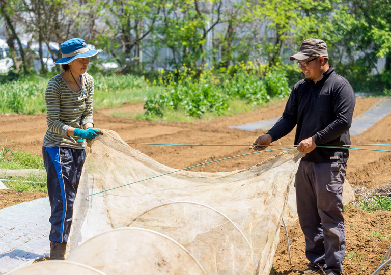 山田農場の４月‐８
