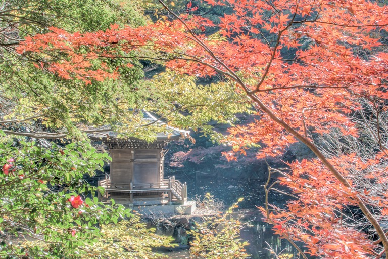 御滝不動尊の紅葉-５