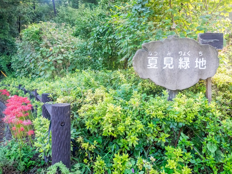 夏見緑地｜彼岸花20150919‐4