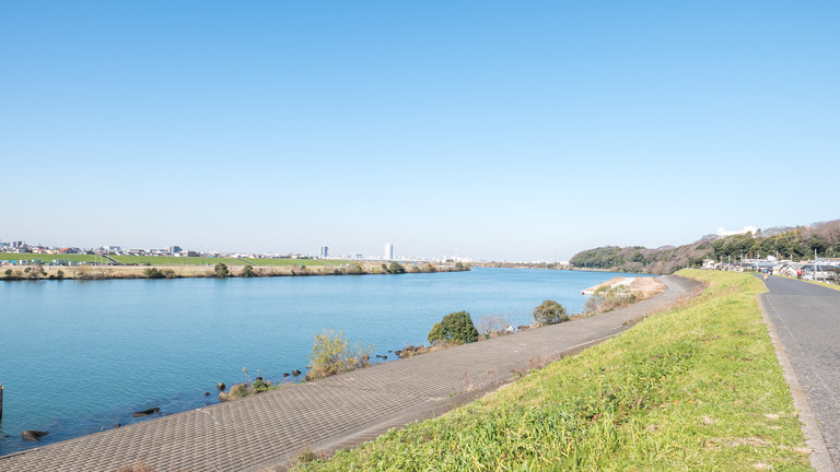 江戸川の河川敷-1