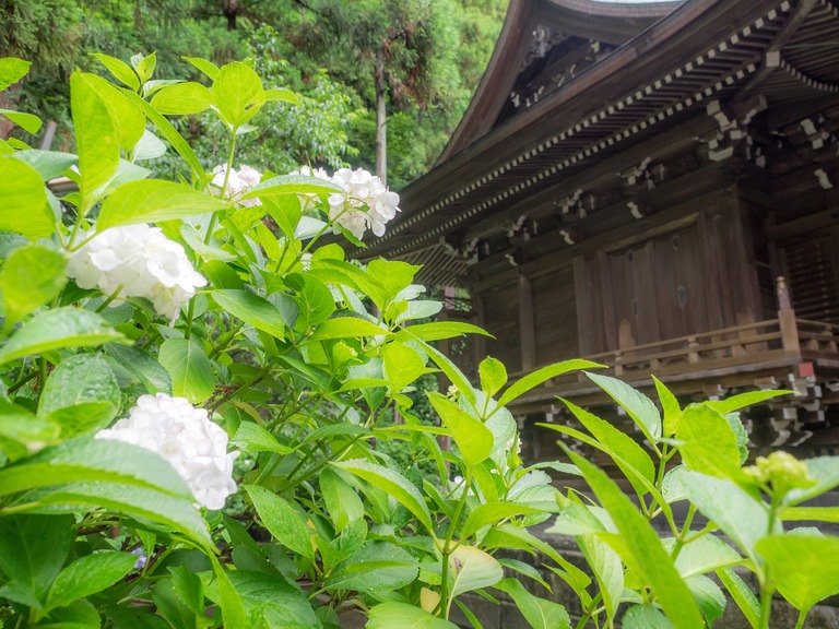 御霊神社-２