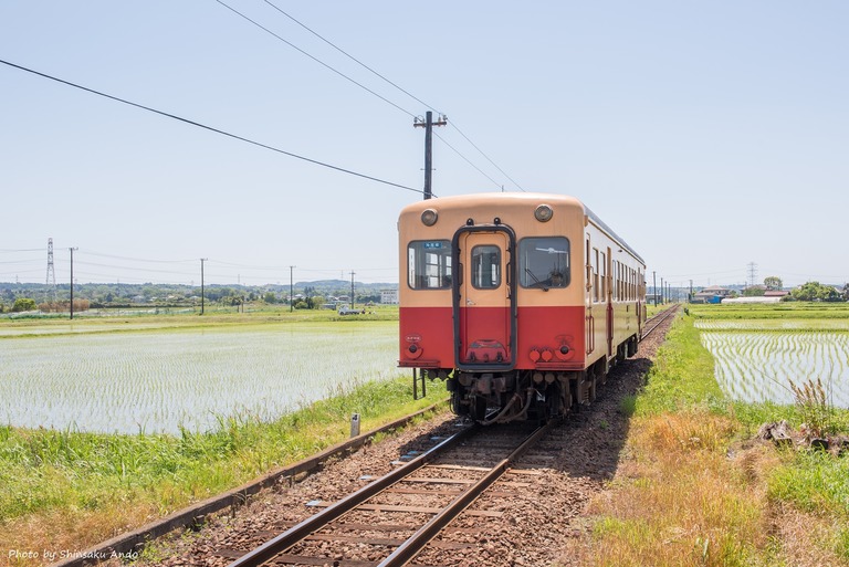 小湊鉄道2016年5月5日-16（上総三又駅）