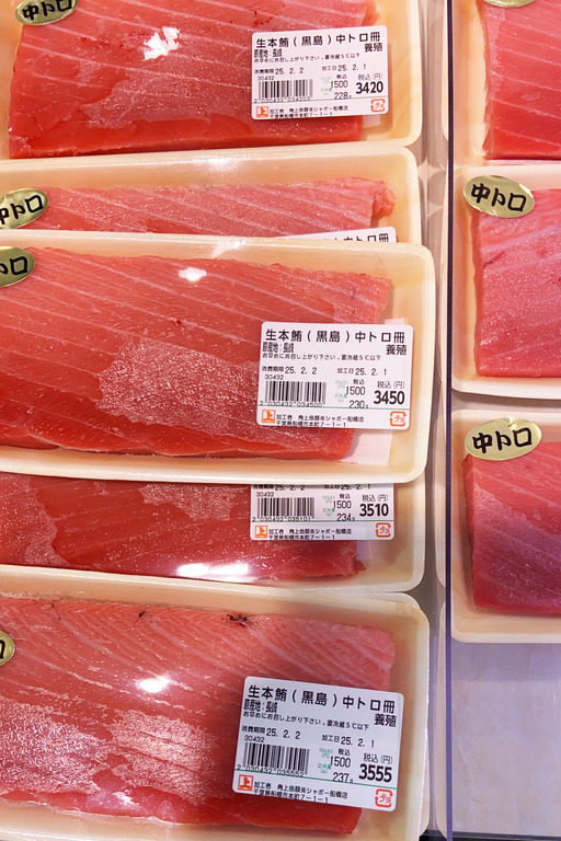 中トロ