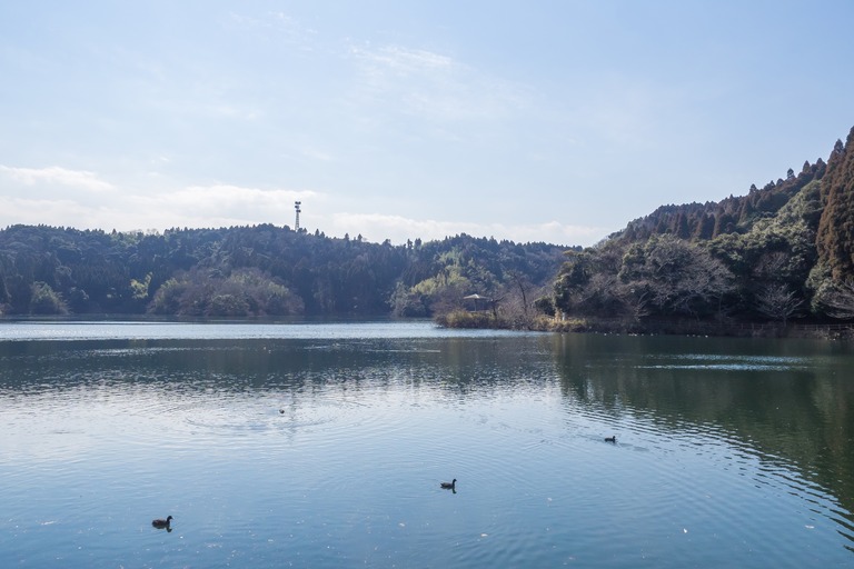 千葉市・昭和の森公園｜小中池