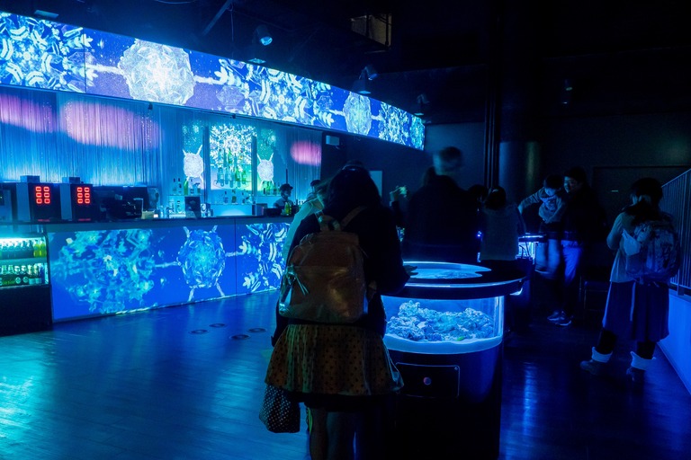 snow aquarium-10