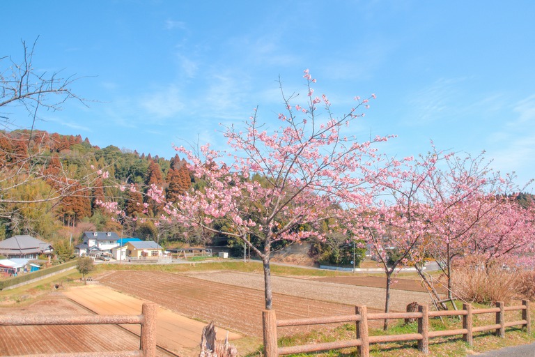のどかな景色