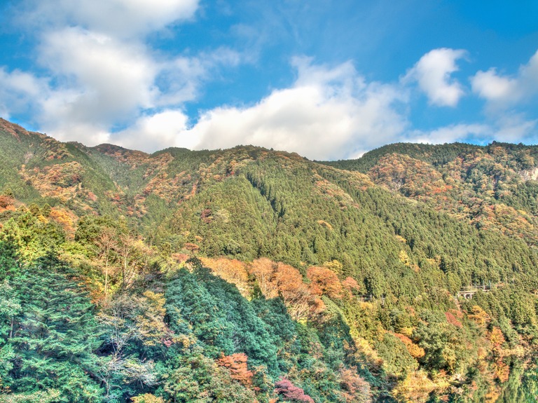 奥多摩の紅葉2015｜白丸「数馬橋峡」-3(name)