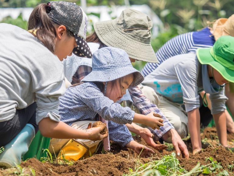 山田農場の一年・７月‐23