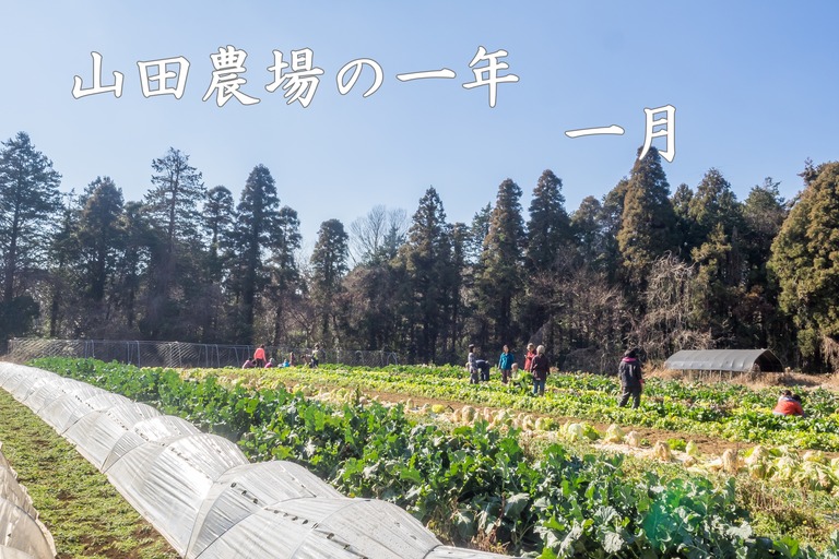山田農場の一年・一月（タイトル）