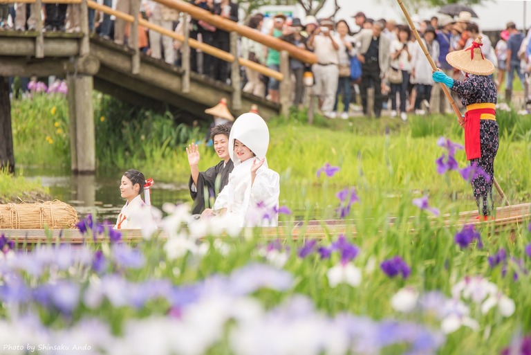 佐原水生植物園・あやめ祭り2016＆嫁入り舟-3