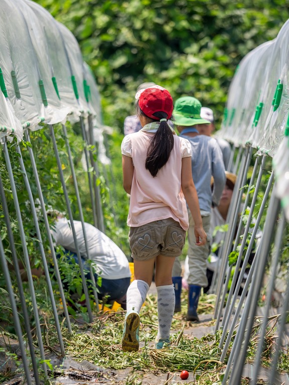 山田農場の一年・７月‐15