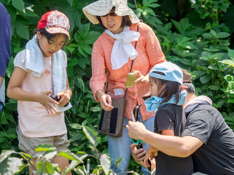 山田農場の一年・７月‐26
